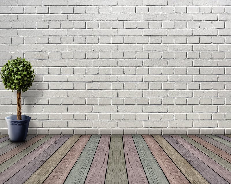 Best plants for walls